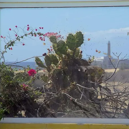 Villa Private With Unique Access To Dunes